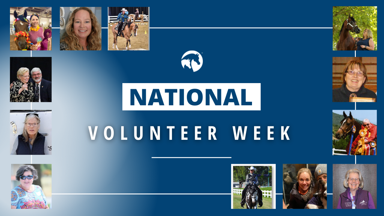 National Volunteer Week Recap