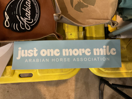 DNL One More Mile Bumper Sticker