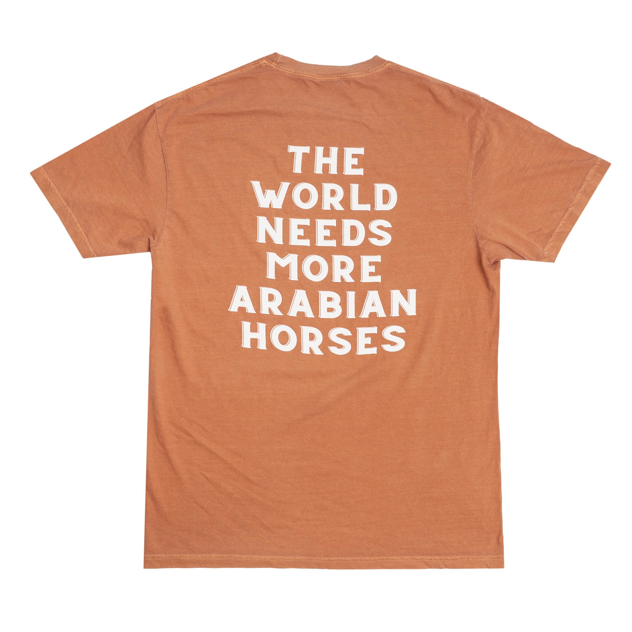 Unisex AHA The World Needs Tee - Orange