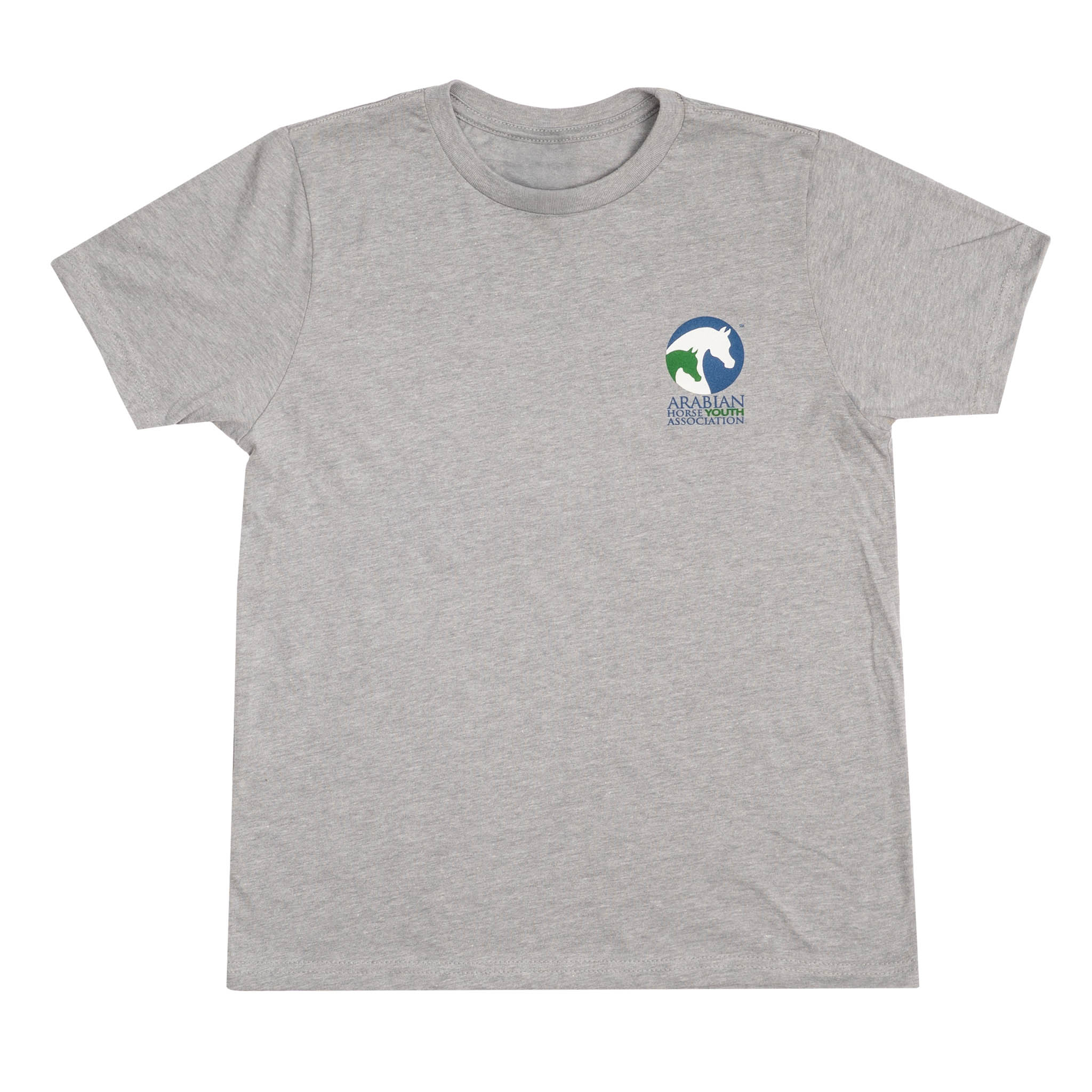 Unisex AHA Eat, Horses, Repeat Tee - Gray